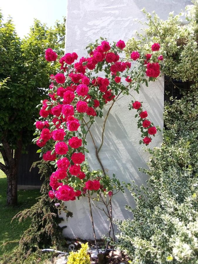 B&B La Casa Di Loretta Paderno 外观 照片