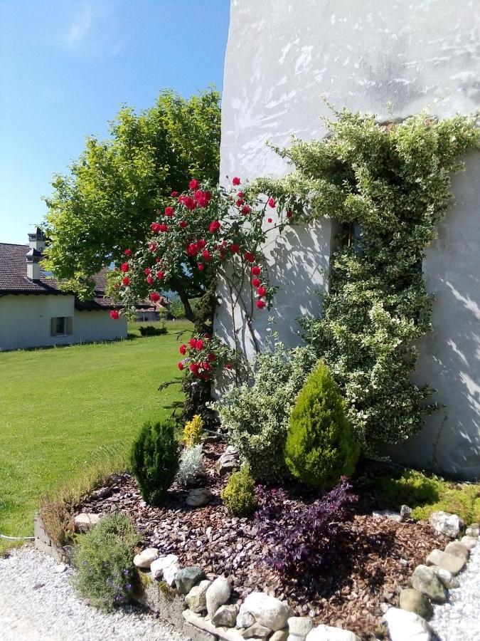 B&B La Casa Di Loretta Paderno 外观 照片